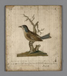 Picture of a Bird, France, 18th century. Creator: Unknown.