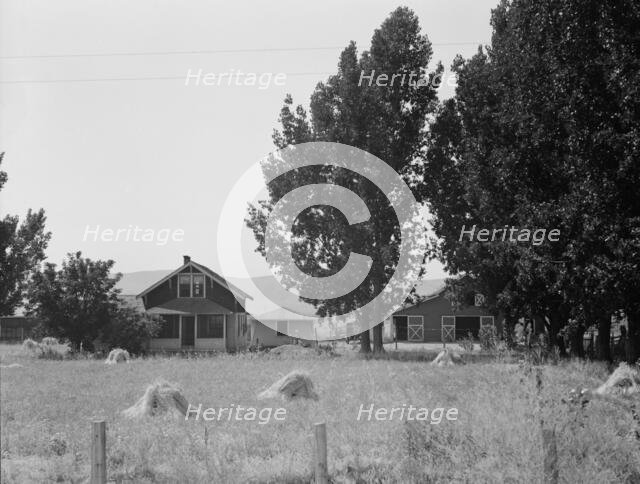 On tenant purchase program (FSA), west of Toppenish, Yakima County, Washington, 1939. Creator: Dorothea Lange.