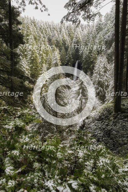 Winter's Touch. Creator: Joshua Johnston.