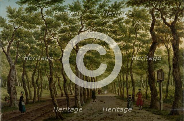 Footpath in the Haagse Bos, 1778. Creator: Paulus Constantijn la Fargue.