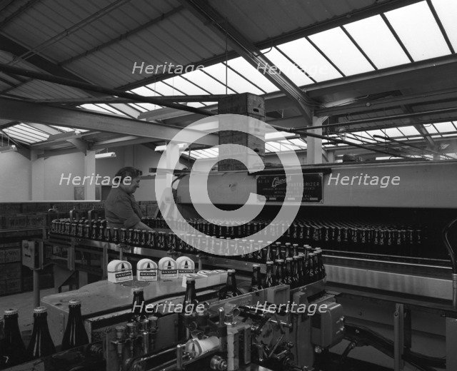 Bottling beer at Ward & Sons bottling plant, Swinton, South Yorkshire, 1961. Artist: Michael Walters