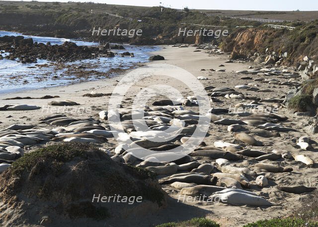 San Simeon, California, USA, 2022. Creator: Ethel Davies.