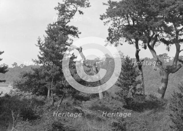 Travel views of Japan and Korea, 1908. Creator: Arnold Genthe.