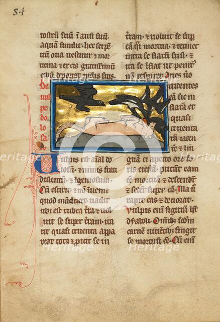 A Fox Playing Dead; De Natura Avium; De Pastoribus et Ovibus, 1277 or after. Creator: Unknown.