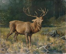 Rutting deer, 2nd half of the 19th century. Creator: Franz Xaver von Pausinger.