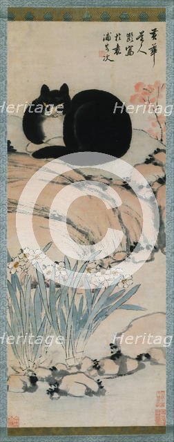 Black Cat and Narcissus, 19th century. Creator: Zhu Ling.
