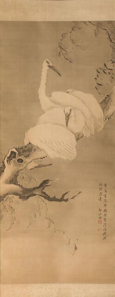 Four egrets on a branch, between 1730 and 1740. Creator: Pei Zheng.