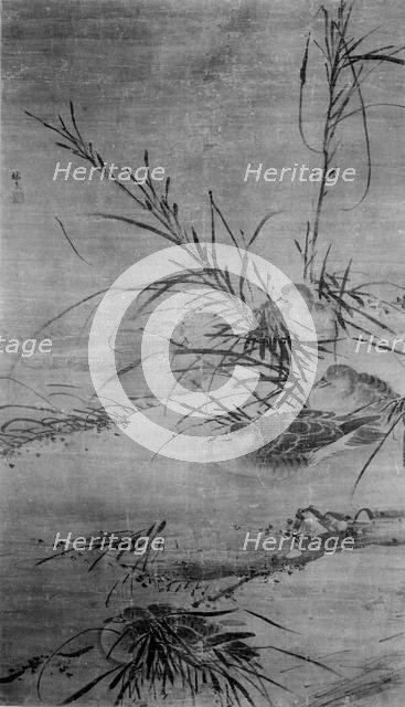 Ducks and Reeds. Creator: After Lin Liang (Chinese, ca. 1416-1480).