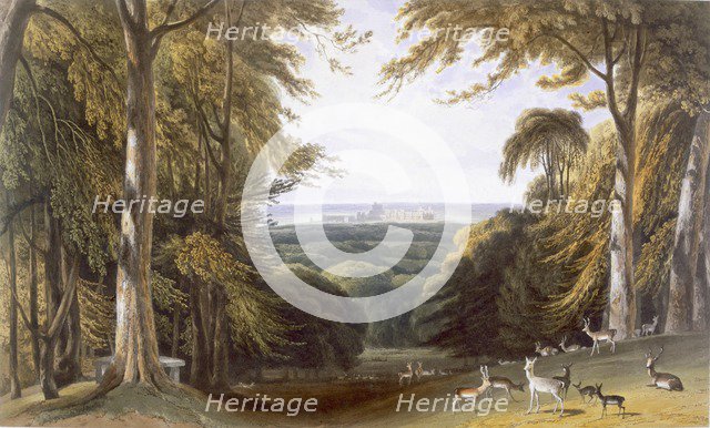 Glen in Windsor Park near Bishops Gate, c1827-30. Creator: William Daniell (1769-1837).