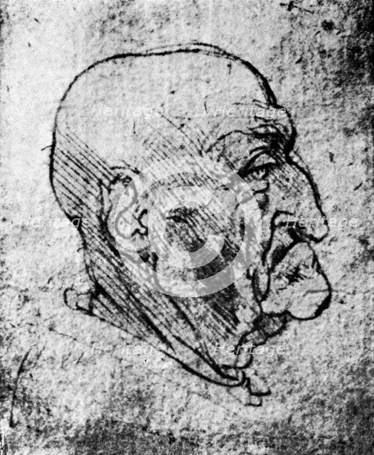'Head of an Old Man', 1913. Artist: Leonardo da Vinci