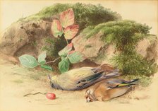Dead Birds, 1875-1899. Creator: George Reid.