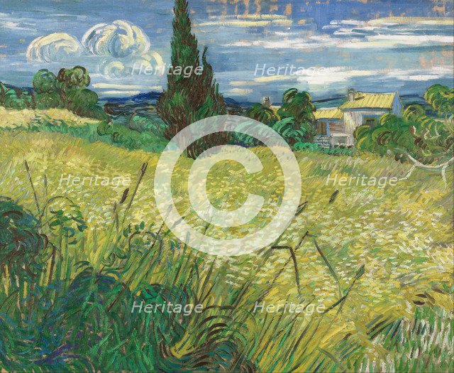 Green Wheat Field with Cypress. Artist: Gogh, Vincent, van (1853-1890)
