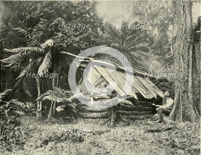 'Bush Hut, Dandenong Ranges, Victoria', 1901. Creator: Unknown.