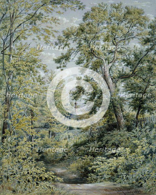 Pleasant Valley, New Jersey, 1858. Creator: William Rickarby Miller.