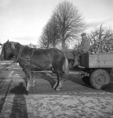 Bringing a load of sugar beet to the sugar mill in Arlöv, Scania, Sweden, c1940s(?). Artist: Otto Ohm