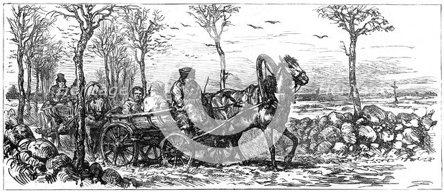 On a road near St Petersburg, Russia, 1882. Artist: Unknown