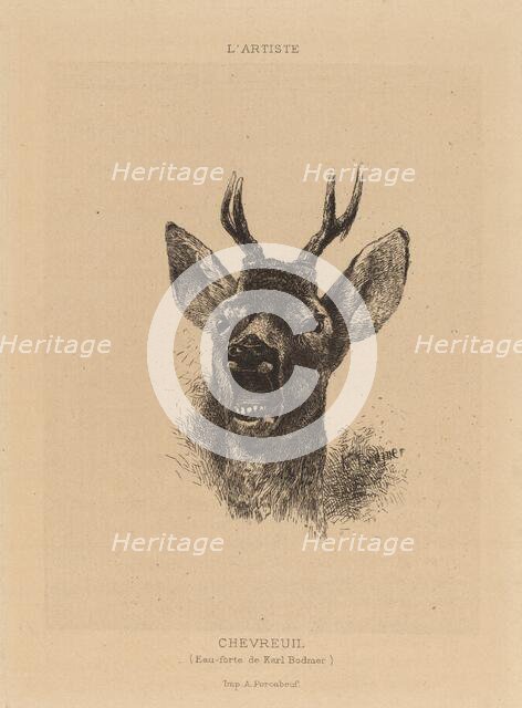 Chevreuil. Creator: Karl Bodmer.
