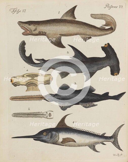 Children's Picture Book (Children's encyclopaedia) by Friedrich Johann Justin Bertuch, 1798-1830. Creator: Pupils of the Weimar Princely Free Drawing School.