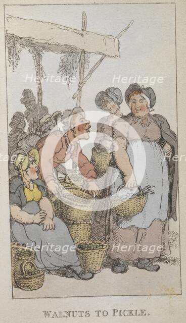 'Walnuts to pickle', 1820. Creator: Thomas Rowlandson.
