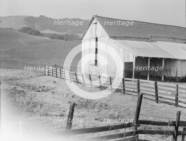 Cowbarn and hills, California dairy ranch, Contra Costa County, California, 1938. Creator: Dorothea Lange.