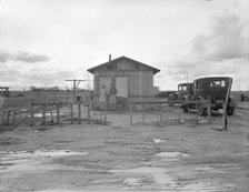 Shack in "Little Oklahoma", California, 1936. Creator: Dorothea Lange.