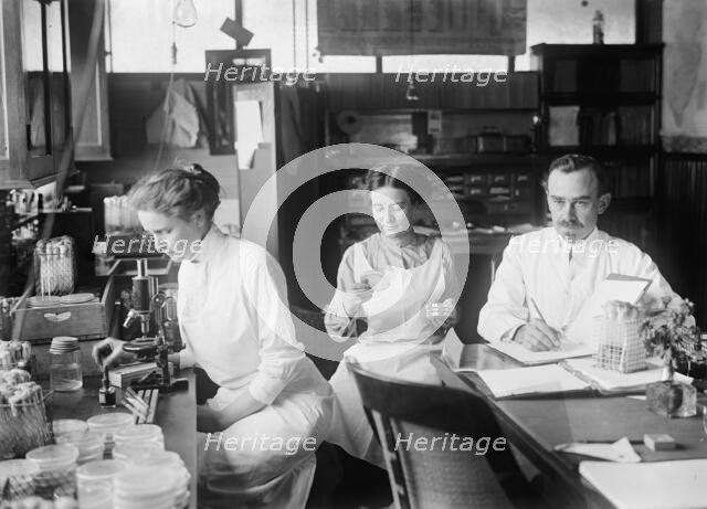 Bacteriology - Dr. George Stiles, 1912. Creator: Harris & Ewing.