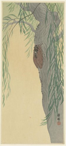 Cicada on tree. Creator: Ohara, Koson (1877-1945).
