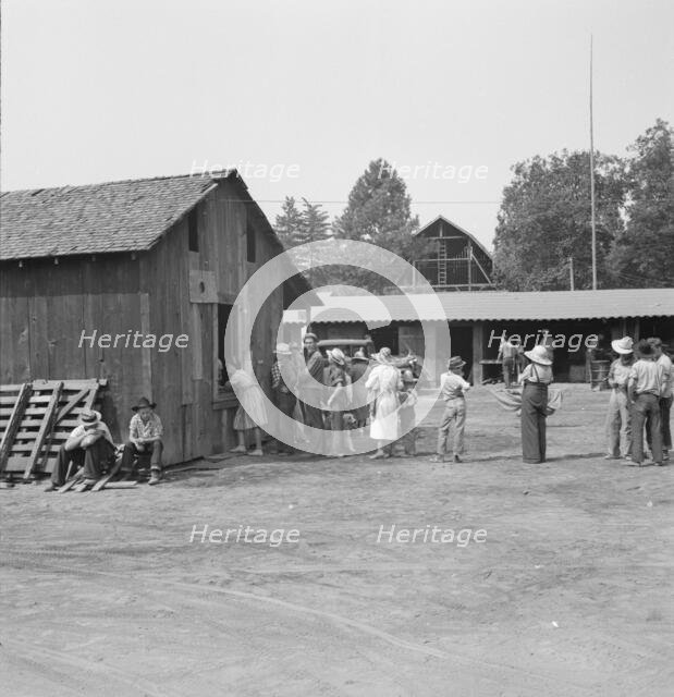Part of the lineup at paymaster's window..., near Grants Pass, Josephine County, Oregon, 1939. Creator: Dorothea Lange.