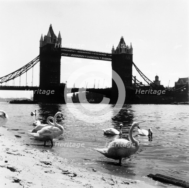 Tower Bridge, London, 1952. Artist: Henry Grant