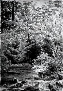 In The Woods, 1889. Creator: Louis Michel Eilshemius.
