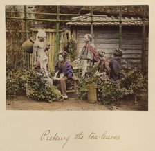 Picking the Tea Leaves, about 1873-1883. Creator: Shinichi Suzuki I.