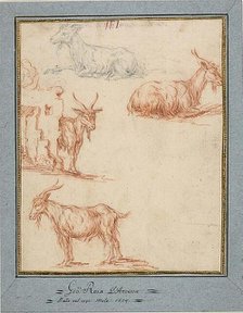 Studies of Goats, n.d. Creator: Jan Roos.