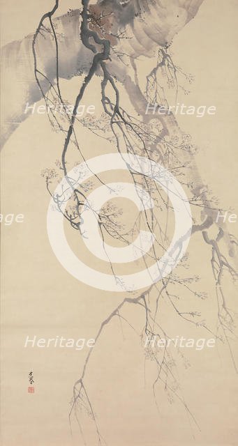 Cherry Blossoms, 18th century. Creator: Go Shun.