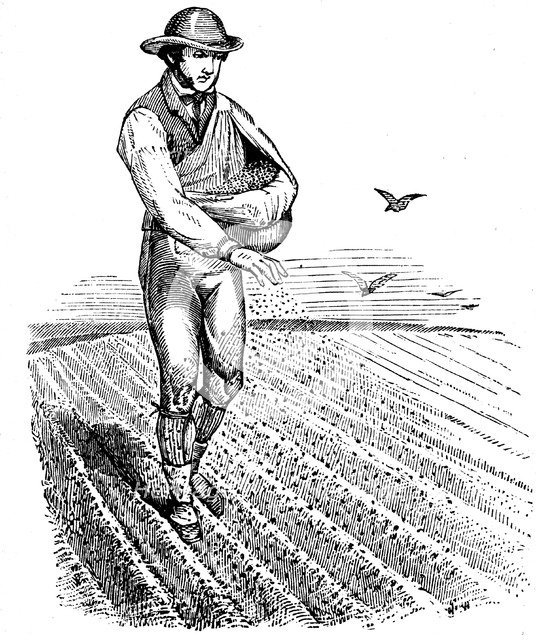 Crop rotation: sowing seed broadcast, 1855. Artist: Unknown