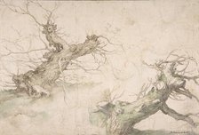 Studies of Two Pollard Willows; Verso: Wide Landscape Prospect, late 16th-mid-17th century. Creator: Abraham Bloemaert.