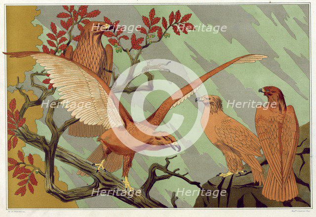 Eagles, pub. 1897. Creator: Maurice Pillard Verneuil (1869?1942).