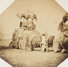 Maharajah Putteala's State Elephant, 1858-61. Creator: Unknown.