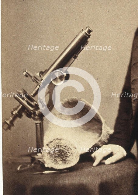 James Scott Bowerbank. Creator: Unknown.