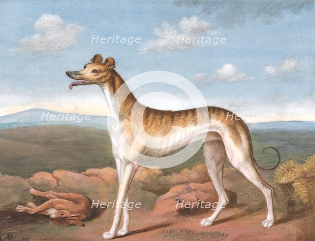 Greyhound: Facing Left, with a Dead Hare at His Feet, ca. 1805. Creator: Unknown.