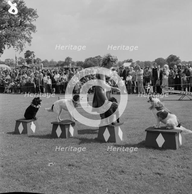 Laing Sports Ground, Rowley Lane, Elstree, Barnet, London, 16/06/1979. Creator: John Laing plc.