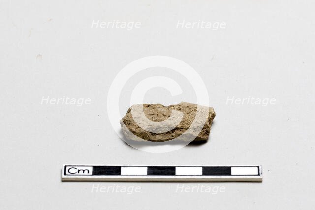 Oracle bone, inscribed, Shang dynasty, ca. 1600 - ca. 1050 BCE. Creator: Unknown.