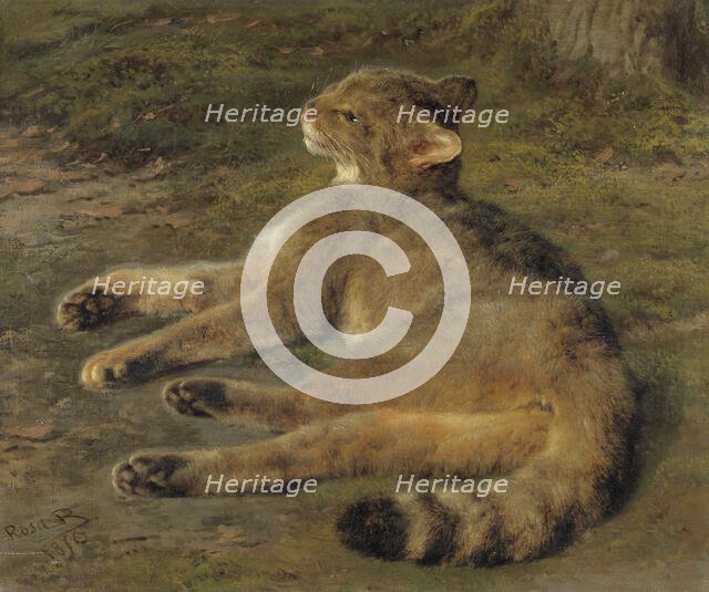 Wild Cat, 1850. Creator: Rosa Bonheur.