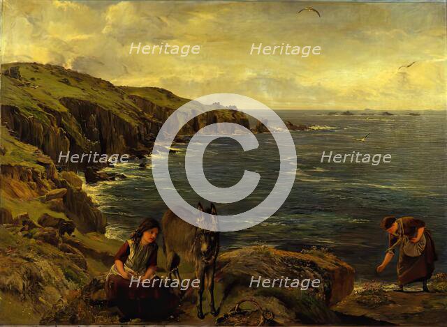 Sea Daisies, c1886. Creator: James Clarke Hook.