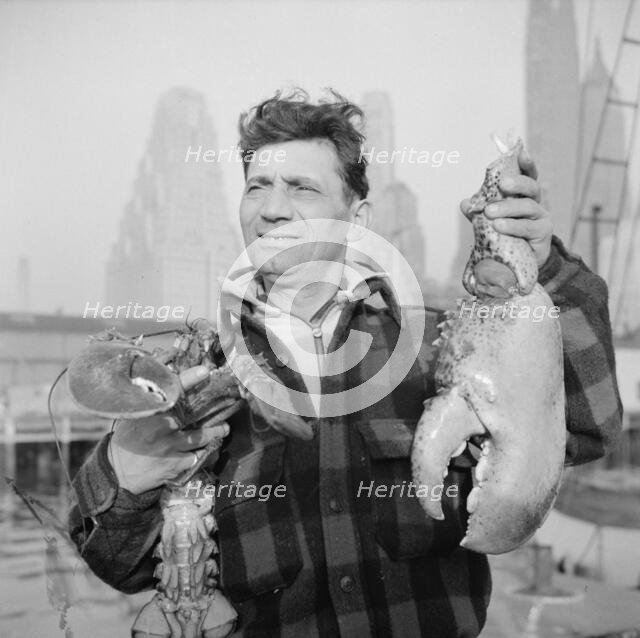 Dock stevedore at the Fulton fish market holding giant lobster claws, New York, 1943. Creator: Gordon Parks.