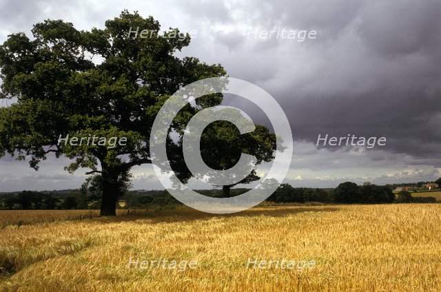 Blore Heath Battlefield, Staffordshire, 1993. Artist: Unknown