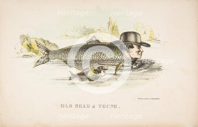 Old Shad & Young, from The Comic Natural History of the Human Race, 1851. Creators: Henry Louis Stephens, L. Rosenthal.