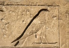 Falcon relief, Necropolis of Saqqara, Egypt, Old Kingdom (2015). Creator: Unknown.