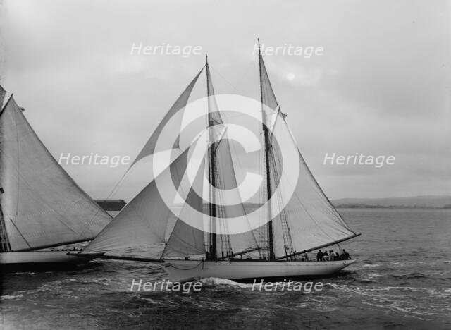 Viator, 1891. Creator: John S Johnston.