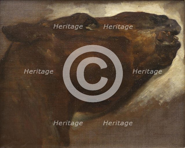 Study of a Dead Horse, early 19th century. Creator: Theodore Gericault.