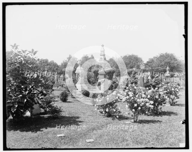 Cedar Grove Cemetery, near Flushing, Long Island, N.Y., c1905. Creator: Unknown.